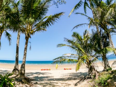 A scenic beach with clear blue skies, palm trees, and a calm ocean. Red kayaks are lined up on the sandy shore, with vibrant greenery framing the view.