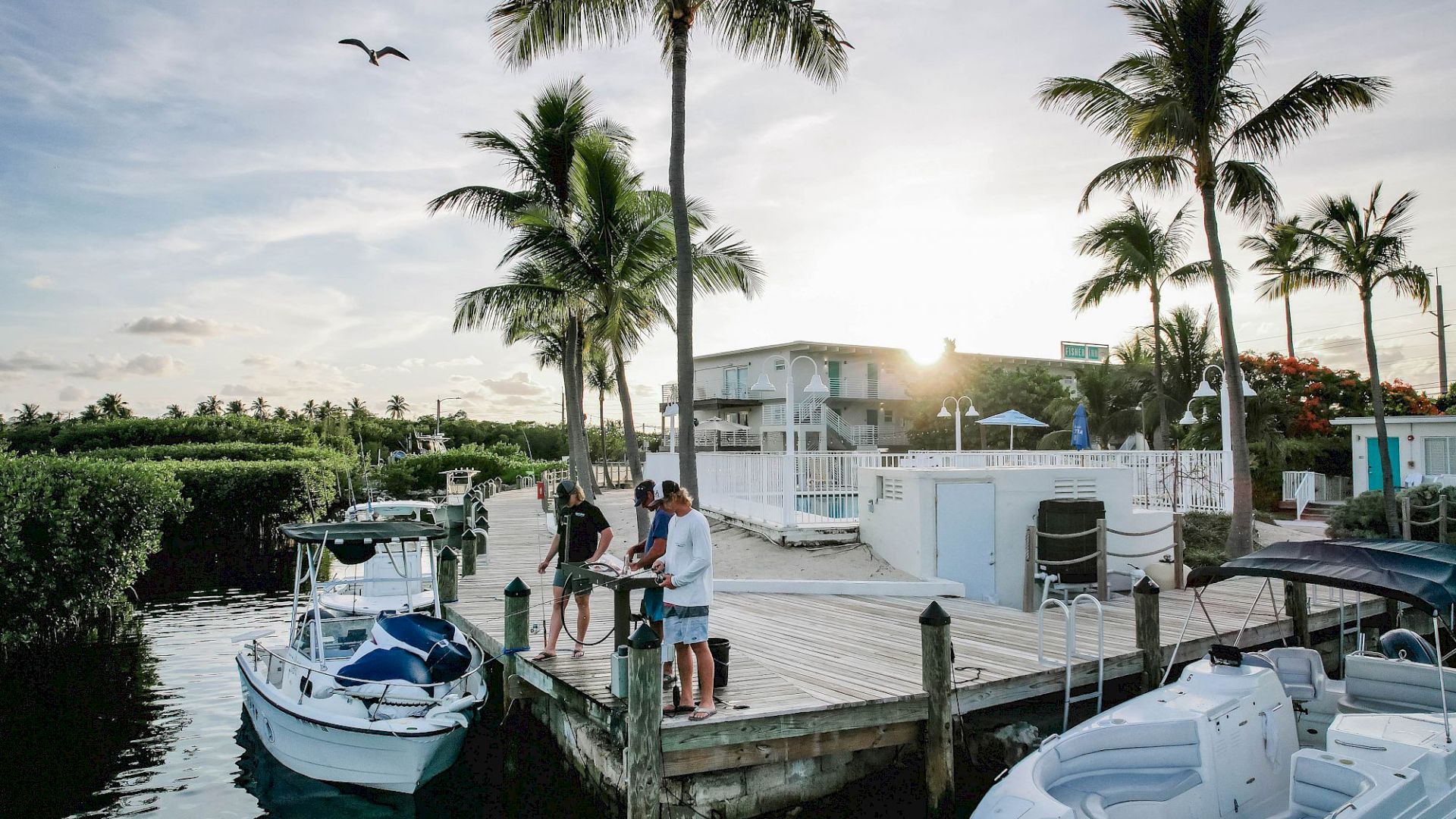 Several people stand on a wooden dock surrounded by palm trees, with boats moored nearby, under a clear sky during sunset.