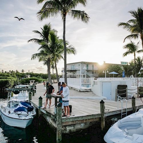 A serene waterfront scene shows people gathered on a boardwalk near boats, with a backdrop of palm trees and a sunset sky.