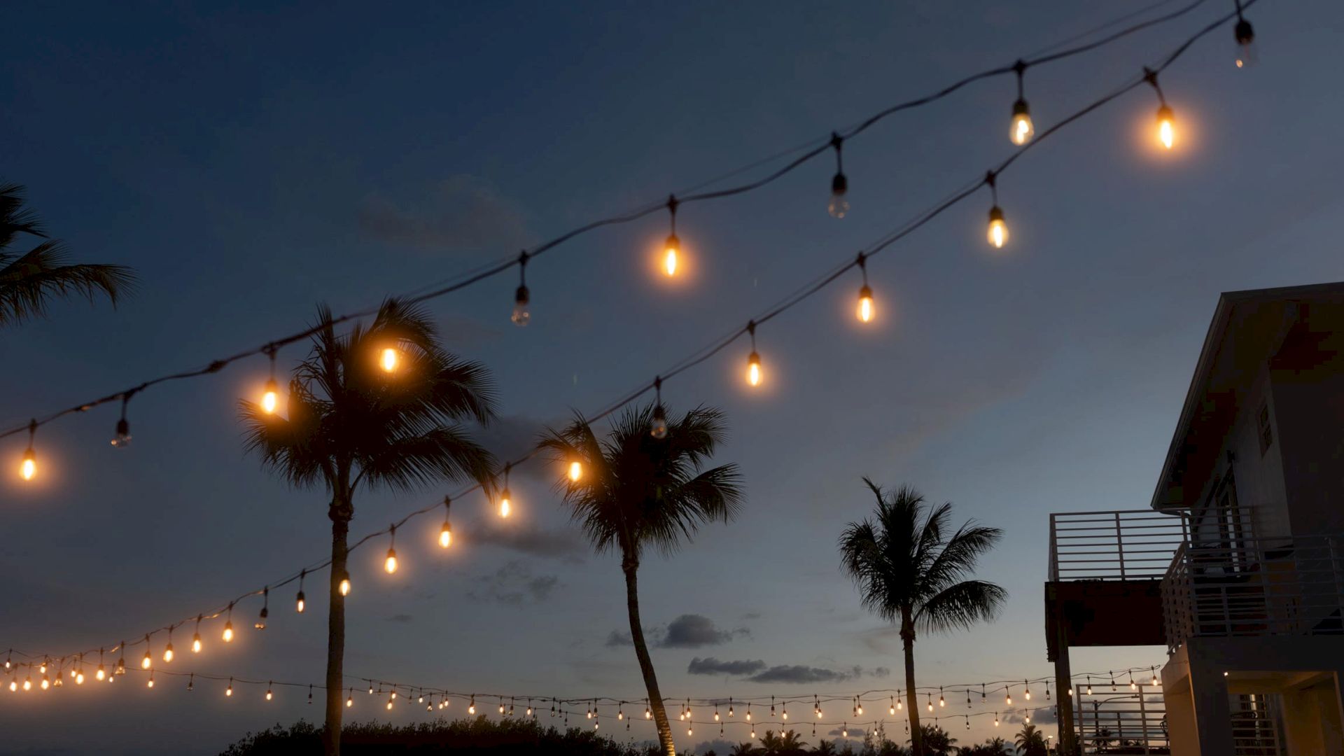 String lights illuminate the twilight sky, hanging above palm trees and a building with a balcony.