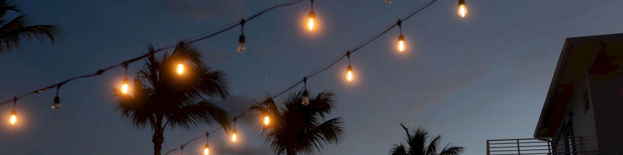 String lights illuminate the twilight sky, hanging above palm trees and a building with a balcony.