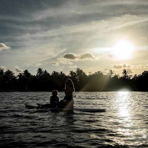 Two people are paddleboarding on a body of water during sunset, with a silhouette of trees in the background and a cloudy sky.