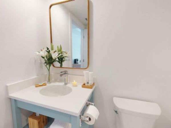 A clean bathroom featuring a sink with a mirror above, flowers on the counter, a soap dispenser, a candle, and a toilet.