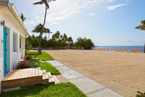 A beachside scene with a building on the left, palm trees, neatly arranged orange lounge chairs on the sand, and calm ocean waters under a clear sky.