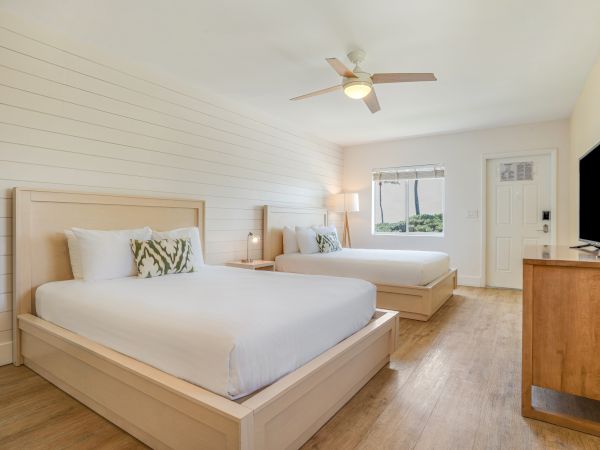 The image shows a clean, bright bedroom with two double beds, white linens, a ceiling fan, a flat-screen TV, and wooden floors, with natural light.