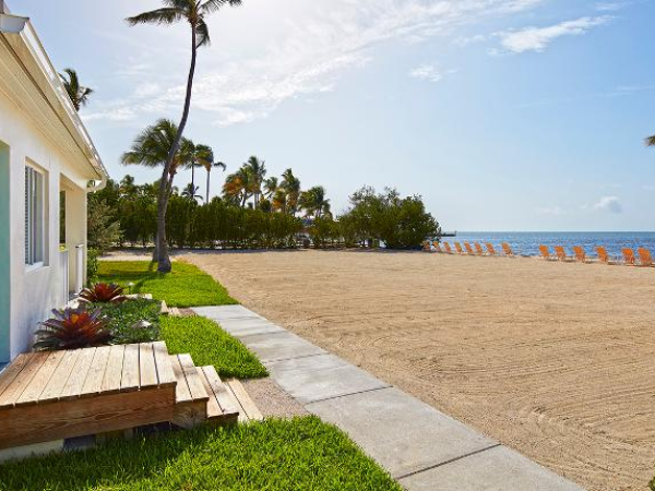 A beachside scene with a building on the left, palm trees, neatly arranged orange lounge chairs on the sand, and calm ocean waters under a clear sky.