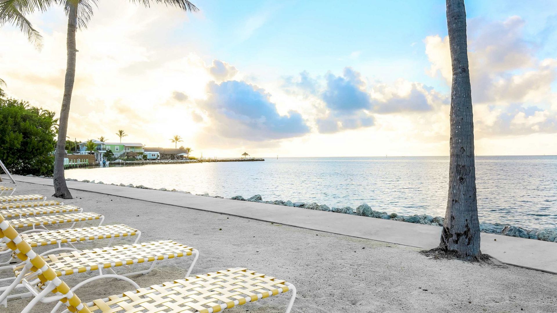 The image shows a serene beach scene with lounge chairs lined up under palm trees, overlooking calm ocean waters and a partly cloudy sky at sunset.