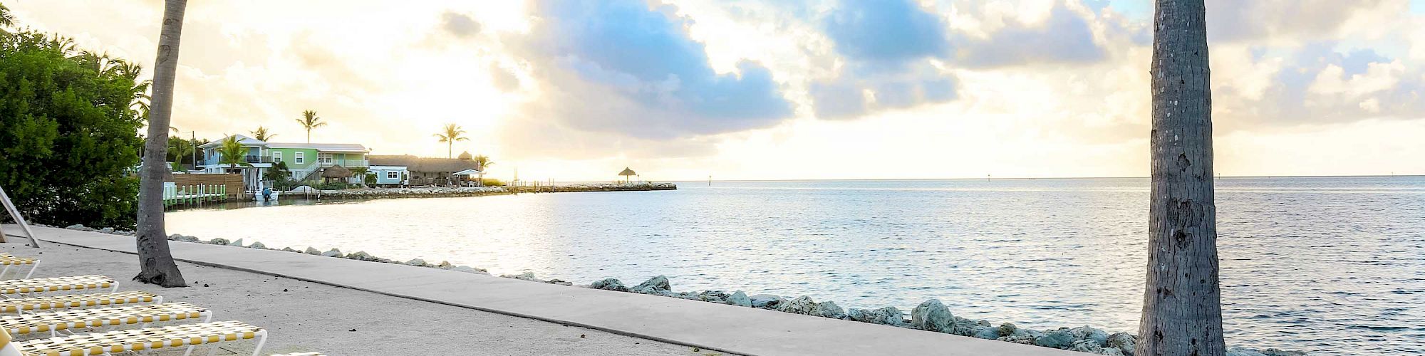 The image shows a serene beach scene with lounge chairs lined up under palm trees, overlooking calm ocean waters and a partly cloudy sky at sunset.