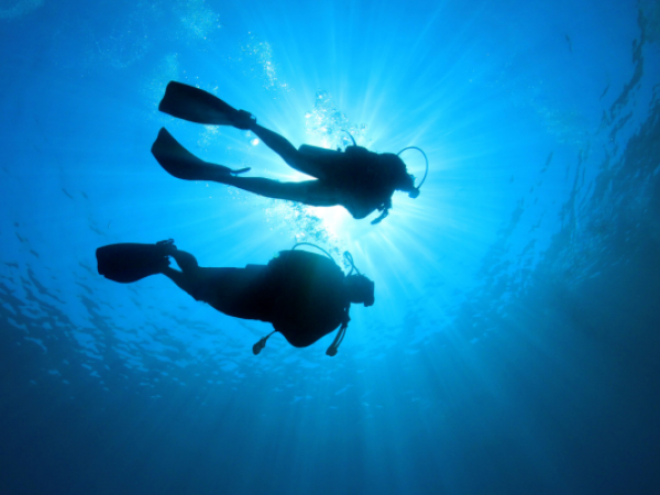 Two scuba divers swimming underwater with sunlight filtering down through the water.