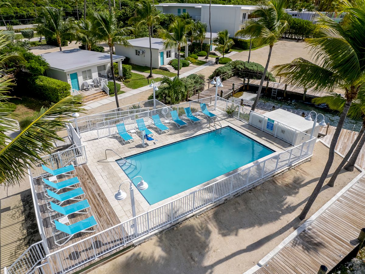 An aerial view of a fenced-in swimming pool area with lounge chairs, surrounded by palm trees and nearby buildings in a tropical setting.