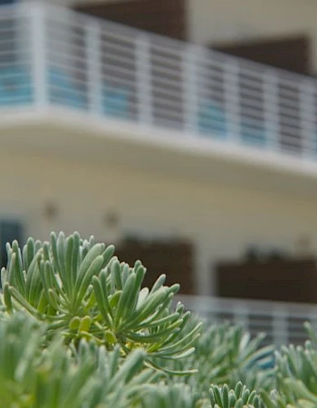 The image shows a close-up of green plants with a blurred background of a modern building with balconies and railing.