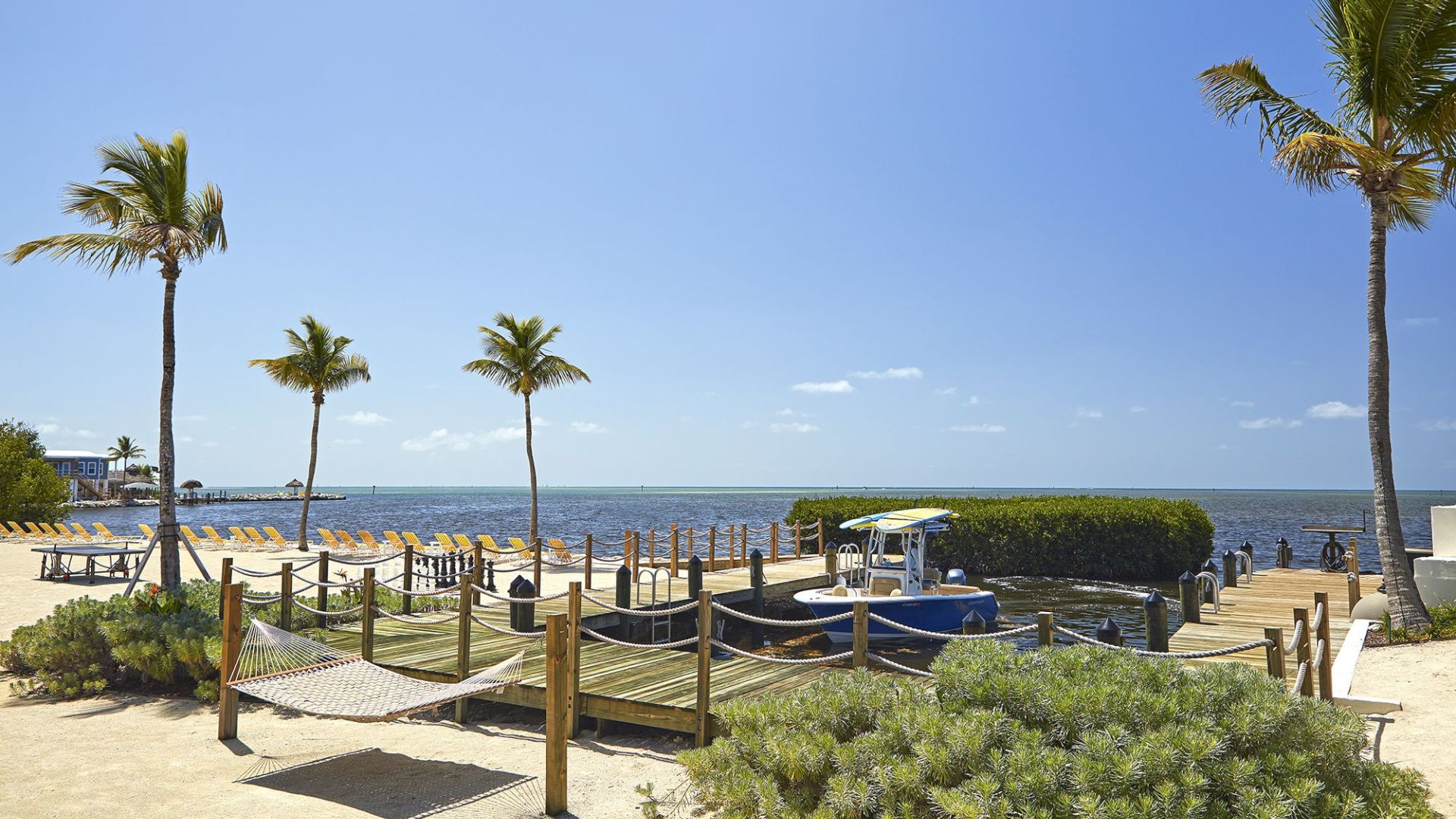 A sunny beachfront resort with tall palm trees, yellow lounge chairs, a dock, and calm blue ocean under a clear sky.