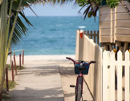 A sandy path leads to the blue sea, framed by palm leaves and a white fence, with a bicycle resting near the entrance to the beach.