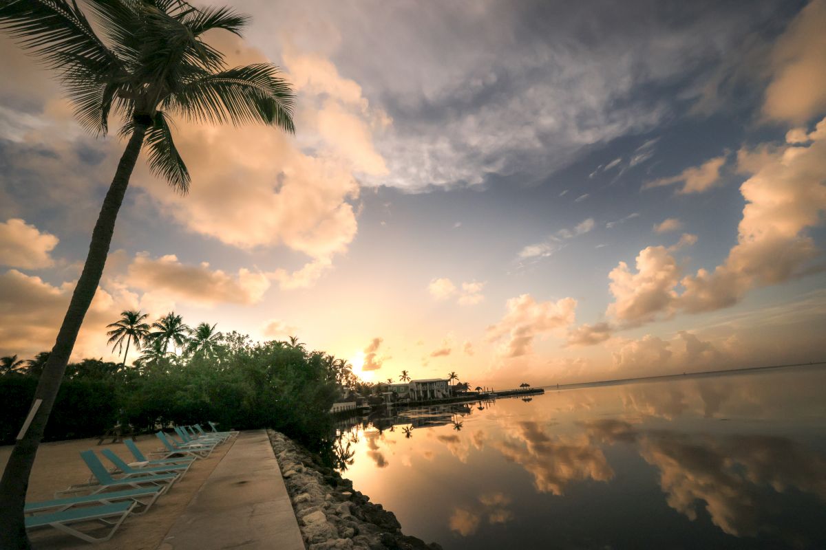 Palm trees along a calm waterfront at sunset, with a rocky shore, lounge chairs, and a mirrored sky reflecting on the water.
