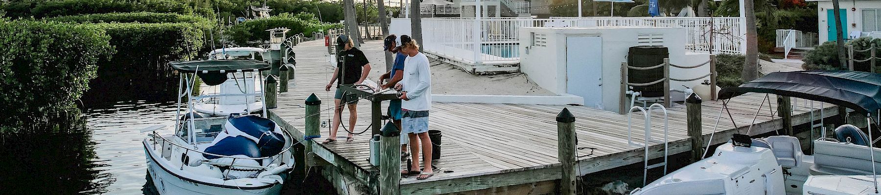 A sunny marina scene with palm trees, boats docked at a wooden pier, people chatting by the water, and a calm canal in the background.
