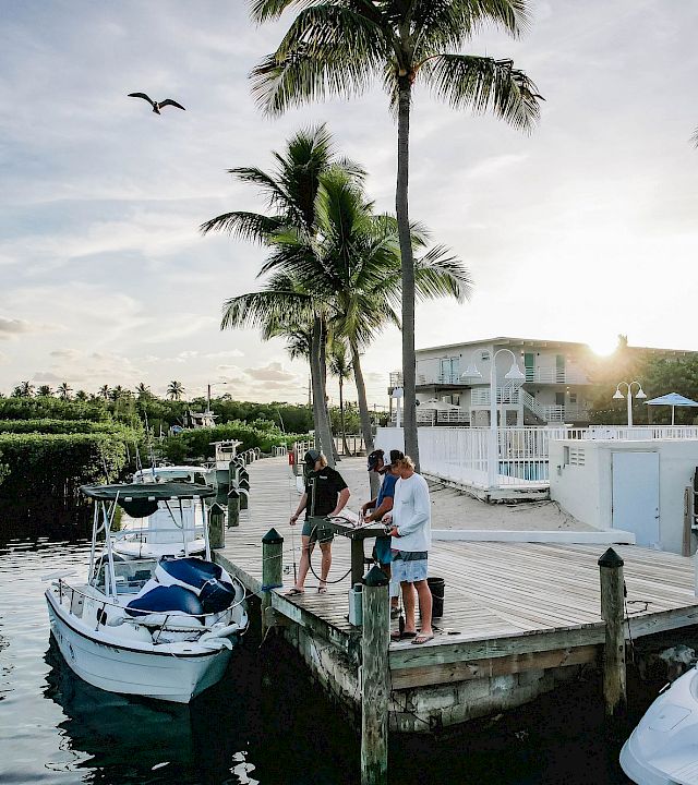 A sunny marina scene with palm trees, boats docked at a wooden pier, people chatting by the water, and a calm canal in the background.