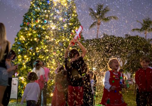 A brightly lit Christmas tree farm parade as children in holiday outfits dance through falling confetti under golden lights.